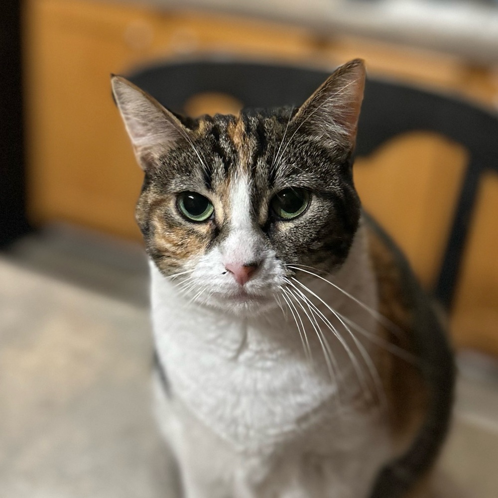 ✨Victoriacole988 is LIVE✨ - Picture 3 of 7